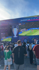 Champions League fan festival draws crowds in Budapest