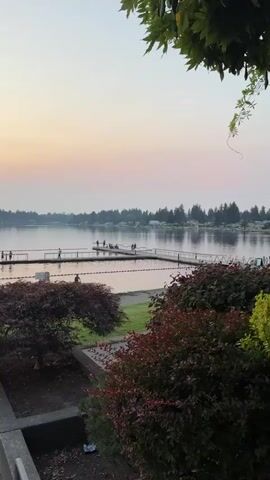 The video shows a serene lake scene with a clear sky. A long pier extends into the water, with several people walking and standing on it. Some individuals are also visible in the water, suggesting swimming or other recreational activities. The shoreline is lined with trees, and in the foreground, there is a manicured garden area with lush green grass and bushes. A small, dark-leaved tree is prominently featured. Two people are seated in camping chairs on the pavement near the water's edge, surrounded by bags and other items, indicating a leisurely outdoor setting. The overall ambiance is calm and peaceful, with the soft light of dawn or dusk casting a warm glow over the landscape.