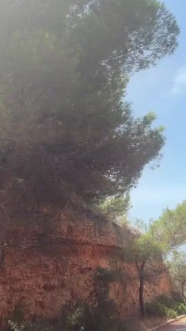 The video shows a car traveling along a road next to a cliff face. The cliff is made of reddish-brown rock and is covered in vegetation. Pine trees grow along the top of the cliff and on the roadside. The sky is blue with a few scattered clouds. The road appears to be paved and has a curb. The overall impression is of a scenic drive along a coastal road.