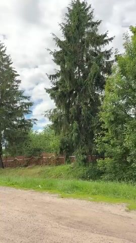 The video is shot from a moving vehicle, looking towards the right. The scene depicts a rural area with a dirt road in the foreground. A wooden fence runs along the side of the road, separating it from a grassy area and trees. Tall evergreen trees are prominent, some of them leaning. Beyond the fence, there is dense foliage and more trees. The sky is partly cloudy. The camera pans slightly to the right, revealing more of the fence and trees. The movement of the vehicle causes the trees and fence to appear to sway.