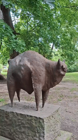 Animal sculptures, riverside views, and park paths in Warsaw