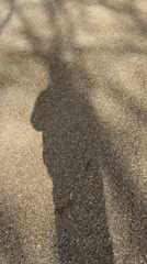 Shadow of coat-wearing pedestrian recorded on Moscow pavement