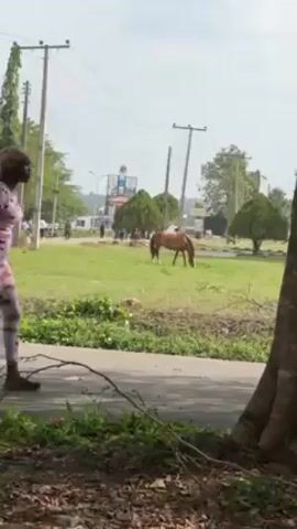 The video shows a young woman walking on a road next to a grassy area where a brown horse is grazing. The woman is wearing a pink and white patterned outfit and slides. She is holding a phone in her hand. The horse is in the grassy area between the road and a building with people gathered in front of it. Utility poles are visible in the background. The day appears bright and sunny.