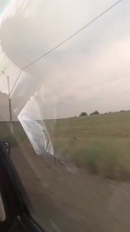 The video shows a view from inside a car, looking out the side window. The landscape outside is a field of green grass with some trees in the distance. The sky is overcast. A person's arm is visible on the right side of the frame, and part of the car's interior is visible on the left. The window has reflections on it, obscuring some of the view. The car appears to be moving.