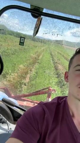 A young man wearing a purple t-shirt is in the driver's seat of a tractor, looking at the camera. The tractor is in a field of green crops, and there is a red attachment on the front of the tractor. The man is smiling. The video is shot from inside the tractor, looking out at the field. The sun is shining, and the sky is blue. There are some trees in the background. The man appears to be operating the tractor.
