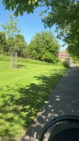 The video captures a first-person perspective of someone walking along a paved pathway on a sunny day in Bearpark, United Kingdom. A black stroller handle is visible at the bottom of the frame, indicating the person is likely pushing a stroller.

The pathway is lined with lush green trees and bushes on both sides, creating a verdant tunnel-like effect. Sunlight filters through the leaves, casting dappled shadows onto the path. White petals are scattered across the paved surface, suggesting spring or early summer. To the left of the path, there is a wide grassy area with additional trees and a fenced enclosure. In the background, residential houses with brick walls can be seen through the foliage. The sky is bright blue and clear, indicating fine weather. The scene depicts a pleasant and peaceful outdoor walk.