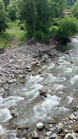 The video shows a view of a rocky riverbed with a clear, fast-flowing river. The riverbanks are lined with stones and pebbles, and dense green foliage and trees form a backdrop. A narrow dirt path is visible on the left bank, leading upwards. In the distance, a small bridge can be seen spanning the river. The water is turbulent and white in places, indicating a strong current. The overall scene is one of a natural, somewhat wild environment.