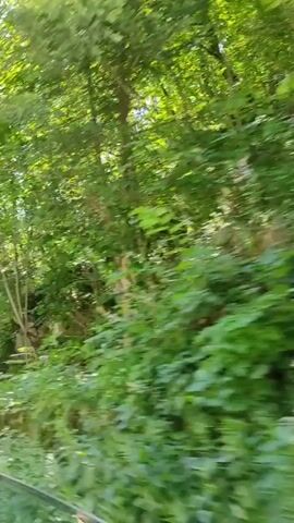 This is a video of a person looking out of a vehicle window. The view outside is of a forest with lush green trees and rocky terrain. Sunlight filters through the leaves, creating a dappled effect. The vehicle appears to be moving at a moderate pace, as indicated by the slight blur of the foliage. The camera perspective is from inside the vehicle, looking outwards and to the right. The scene is dominated by natural elements and the overall impression is one of a scenic drive through a wooded area.