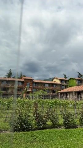 The video shows a low angle view of a vineyard in front of a complex of buildings on a cloudy day. The buildings have terracotta tiled roofs and wooden accents. There is a paved walkway leading towards the buildings from the side of the screen. The vineyard consists of rows of grape vines supported by wooden posts. The sky is overcast. The video appears to have been taken from a moving vehicle as there is a visual obstruction on the left side of the frame.