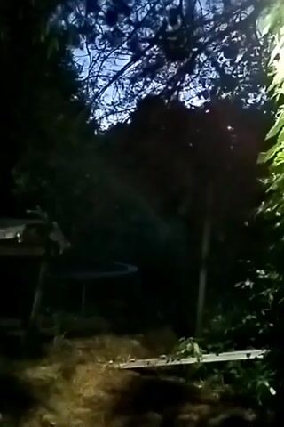 The video shows an outdoor scene at dusk or night. There are trees and foliage, with branches silhouetted against a dark sky with hints of blue. In the foreground, there is a wooden structure, possibly a table or bench, on the left. Further back, a round object, which appears to be a trampoline, is visible in the dim light. A slender pole stands vertically in the middle ground. On the right side of the frame, there are green leaves and what looks like a light fixture. The ground is covered in dirt and grass. The overall lighting is low, suggesting it is either dawn or dusk.