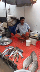 Morning market activity documented in South Asian commercial district