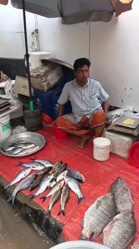 Morning market activity documented in South Asian commercial district
