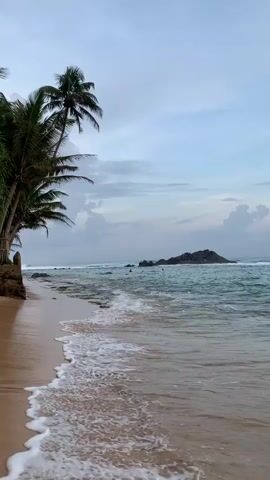 The video shows a tropical beach with palm trees on the left and a rocky outcrop in the ocean in the distance. The sand is light tan and the water is a light blue-green. Small waves are rolling onto the beach. The sky is cloudy with a light blue hue visible in parts.