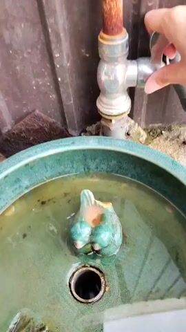 Here's a concise description of the video: 

The video shows a person turning on a tap outdoors to fill a green ceramic bird bath with water. The bird bath has a ceramic sculpture of two birds in the center, with a drainage hole below. The water from the tap fills the basin, revealing dirt and debris.  The backdrop is a metal fence and a rusty pipe.  A partially visible bottle and a garden tool are located nearby.