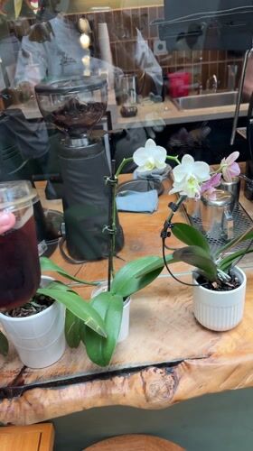 Evening cafe scene captured in West Hollywood