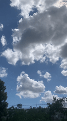 Summer skies over Kaniv's treetops, late July morning