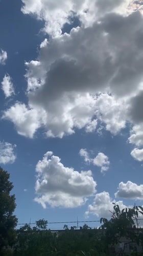Summer skies over Kaniv's treetops, late July morning