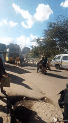 Goat herd blocks traffic on busy Nairobi street