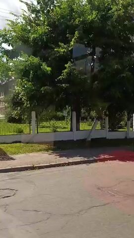 The video shows a view from a vehicle, possibly a bus, moving along a street. Trees and a white fence line the side of the road, behind which is a building. The building appears to be a school or institution, with multiple windows and a grey facade. The sun is shining, casting shadows on the road and through the trees. There are traffic cones on the road in the foreground. The perspective suggests the camera is looking out of a side window. The overall impression is a bright, sunny day in a suburban or semi-urban environment.