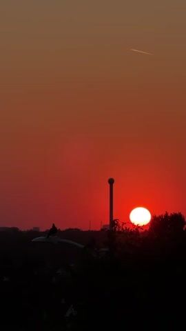 A vertical video captures a sunset with a bright orange sky. In the foreground, a silhouette of trees and bushes is visible against the colorful sky. A streetlamp with a bird perched on it is on the left side of the frame, and a water tower is in the center. A faint contrail from an airplane streaks across the upper right portion of the sky. The sun is a glowing orb, partially obscured by the trees.