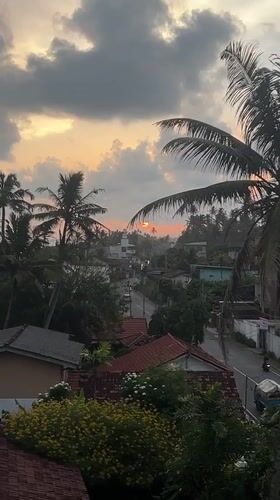 Sunset over Goviyapana's palm-lined coast and village rooftops
