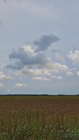 The video shows a panoramic view of a field with crops and wildflowers under a partly cloudy sky. The camera pans slowly across the landscape, capturing the texture of the crops, the delicate white wildflowers along the edge of the field, and the dynamic clouds in the sky. The scene appears serene and natural, with no human presence or activity visible. The time stamp indicates a very short duration, suggesting a brief recording of this rural setting.