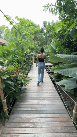Early morning nature walk and cafe visit in Thailand