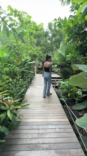 Early morning nature walk and cafe visit in Thailand
