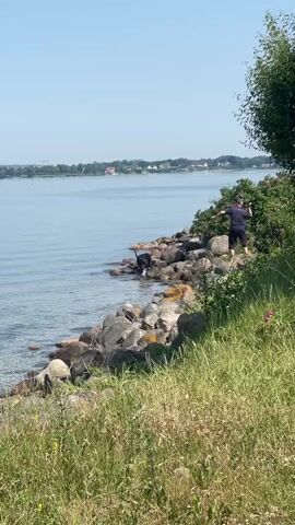 A black dog is swimming in the water near the shore. The dog is between the viewer and the opposite shore, with the dog's body facing right. There is a person standing on the shore to the right of the dog. The person is wearing a dark shirt and light-colored shorts. The person is facing the dog and appears to be throwing something for the dog to retrieve. The environment is a body of water with a rocky shore. There is grass and trees on the shore. The sky is clear and blue. The water is calm and clear.