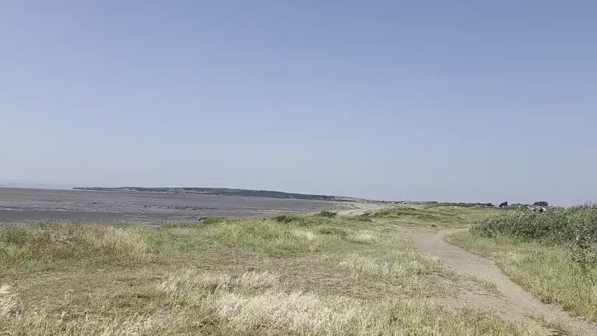 The video shows a wide, expansive view of a coastal landscape under a clear blue sky. In the foreground, there is dry, overgrown grass and a dirt path. The middle ground reveals a vast expanse of mudflats or a dry seabed, dotted with pebbles and small pools of water. In the distance, a tree-covered hillside slopes down towards the sea. The overall impression is one of a natural, undeveloped coastal environment, possibly at low tide.