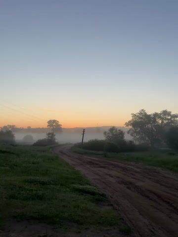 The video displays a static, vertical shot of a dirt road winding through a misty, green landscape during what appears to be sunrise or sunset. The sky transitions from a pale blue at the top to a warm orange hue near the horizon. Several trees are visible, shrouded in a soft mist. A utility pole stands beside the road. The ground is covered in grass and some small, white flowers. The road itself is composed of dark, reddish-brown dirt with visible tire tracks. There are no people or animals in the video, and no actions are taking place beyond the natural atmospheric conditions.