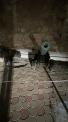 Nighttime documentation of historical cannon at Safi fort