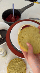Woman assembles layered cake with dog nearby in Tel Aviv