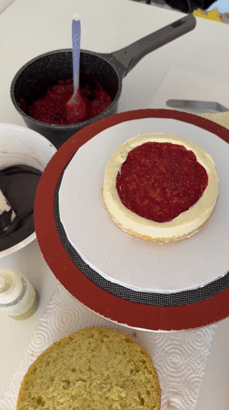 Woman assembles layered cake with dog nearby in Tel Aviv