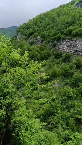 The video shows a lush green forest with a steep, rocky incline to the right. The trees are dense and varied, with a mix of leafy branches and some visible rock faces. In the distance, rolling hills covered in trees fade into a hazy sky. The lighting suggests an overcast day. The camera pans slightly from right to left, revealing more of the forest and the distant landscape. There are no people or animals visible in the video.