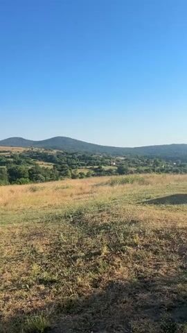 This video pans across a rural landscape under a clear, bright blue sky, suggesting a sunny day. The scene is set in Bogdanovo, Bulgaria. In the foreground, dry, golden-brown grass covers a gently sloping field. As the camera moves, a large pile of wood debris, likely gathered for burning, comes into view on the right side of the frame.

Further in the distance, rolling hills are covered in lush green trees, with some areas appearing as meadows or fields of golden grass. Two prominent, rounded hills are visible in the mid-ground, their slopes dotted with trees. In the far distance, a line of darker green trees, possibly a denser forest, forms the horizon. A few scattered structures, perhaps houses or farm buildings, can be glimpsed among the trees in the background, indicating a rural settlement. A small, green tarp is visible near the left side of the frame, possibly covering something or part of a temporary structure.

The overall impression is one of a peaceful, natural rural environment on a warm, clear day. There is no visible text in the video. The activity depicted is a static panorama of the landscape. The time of day is likely morning or early afternoon due to the bright, overhead sun.