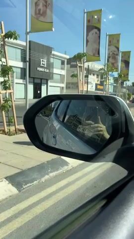 The video shows a first-person perspective from inside a car. The camera is pointed towards the side mirror, which reflects the interior of the car and the person holding the phone. Outside the car, a street scene unfolds with buildings, trees, and other vehicles. The street appears to be in a commercial area, with signs for various businesses visible. The weather seems to be sunny.