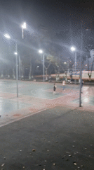 Nighttime sports activity observed at Shapingba District recreation facility