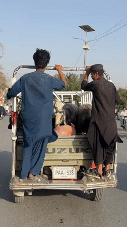 Quetta City Tehsil, Pakistan
