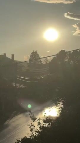 This is a vertical video taken outdoors, likely in a residential area of Pojarevo, Bulgaria. The sun is high in the sky, appearing as a bright, blown-out circle, suggesting it is daytime, possibly late afternoon or early morning given the warm, hazy light. The atmosphere is filled with a visible haze or dust motes, which are illuminated by the sun, creating a sparkling effect.

The scene shows a street with houses and trees lining its sides. Power lines are strung across the middle ground, adding to the sense of a lived-in, possibly rural or suburban, environment. The sunlight reflects strongly off the wet surface of the road, indicating recent rain or watering.

In the foreground, there is a silhouette of a person walking on the wet road. The person appears to be moving away from the camera. The overall mood is somewhat tranquil, with the sunlight and sparkling particles creating a slightly dreamy or ethereal quality. The weather appears to be clear but hazy. No text is visible in the video.