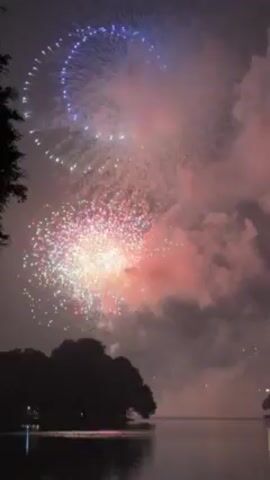 The video shows a nighttime fireworks display over water, likely a lake. A large, leafy tree is visible on the left side of the frame. The fireworks initially burst in a curved, spiraling pattern of pink, purple, and green lights. This is followed by a round burst of pale green fireworks with a misty cloud around them. Silhouetted birds fly across the scene during the second burst. In the background, lights from distant buildings can be seen on the right side of the frame.