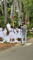 Schoolchildren gather on rural Sri Lankan roadside near grazing buffalo