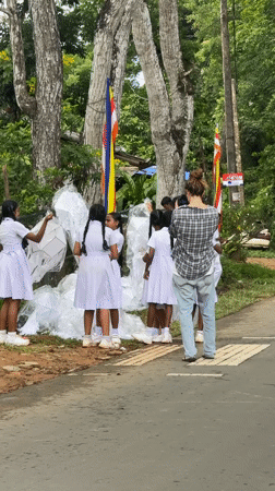 Schoolchildren gather on rural Sri Lankan roadside near grazing buffalo