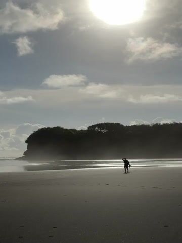 A person walks on a beach toward a dark green forest under a bright sun and cloudy sky. The person is silhouetted against the sunlight and appears to be holding something, perhaps a camera. The beach is wet, reflecting the sky and sun. There are scattered clouds in the sky.