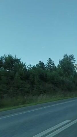The video shows a view from a moving vehicle, looking out the side window. A paved road with white lines is visible in the foreground. Beyond the road, there is a dense forest with various types of trees, including evergreen and deciduous varieties. The sky is clear and blue. The overall impression is a scenic drive through a wooded area.