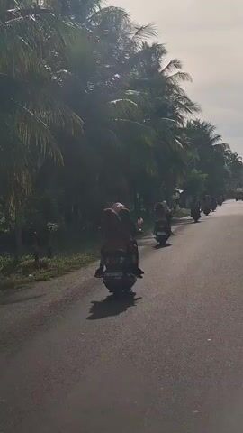 A line of motorcyclists rides down a paved road lined with palm trees. The riders are predominantly women, many wearing headscarves. Some motorcycles carry two passengers. The sky is bright, suggesting daytime. The road appears to be in a rural or suburban area, with vegetation and simple structures visible along the sides. The motorcycles are moving in the same direction.