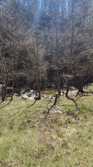 Spring morning scenes documented in Bulgarian countryside near Osoitsa