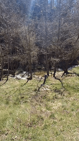 Spring morning scenes documented in Bulgarian countryside near Osoitsa