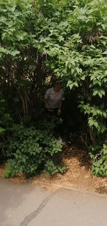 Woman screams holding branch in Pavlodar park area