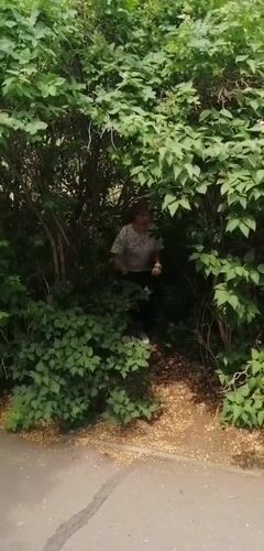 Woman screams holding branch in Pavlodar park area